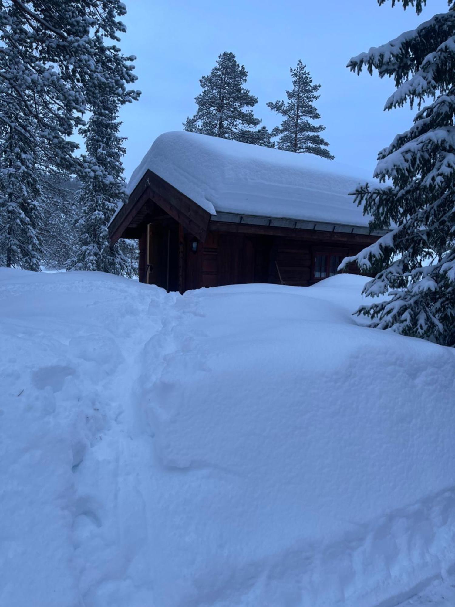 Villa Hytta Pa Oyfjell Exterior foto