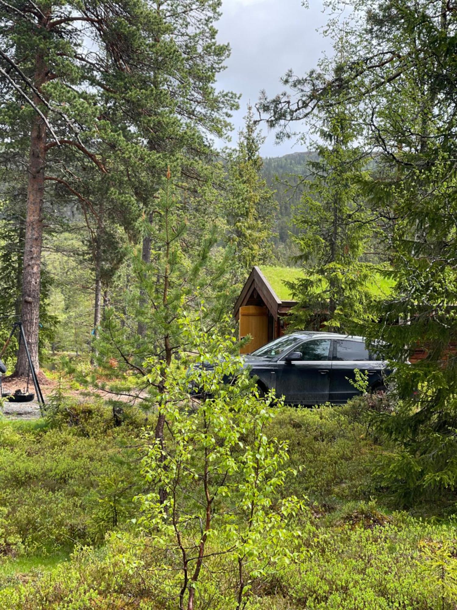 Villa Hytta Pa Oyfjell Exterior foto