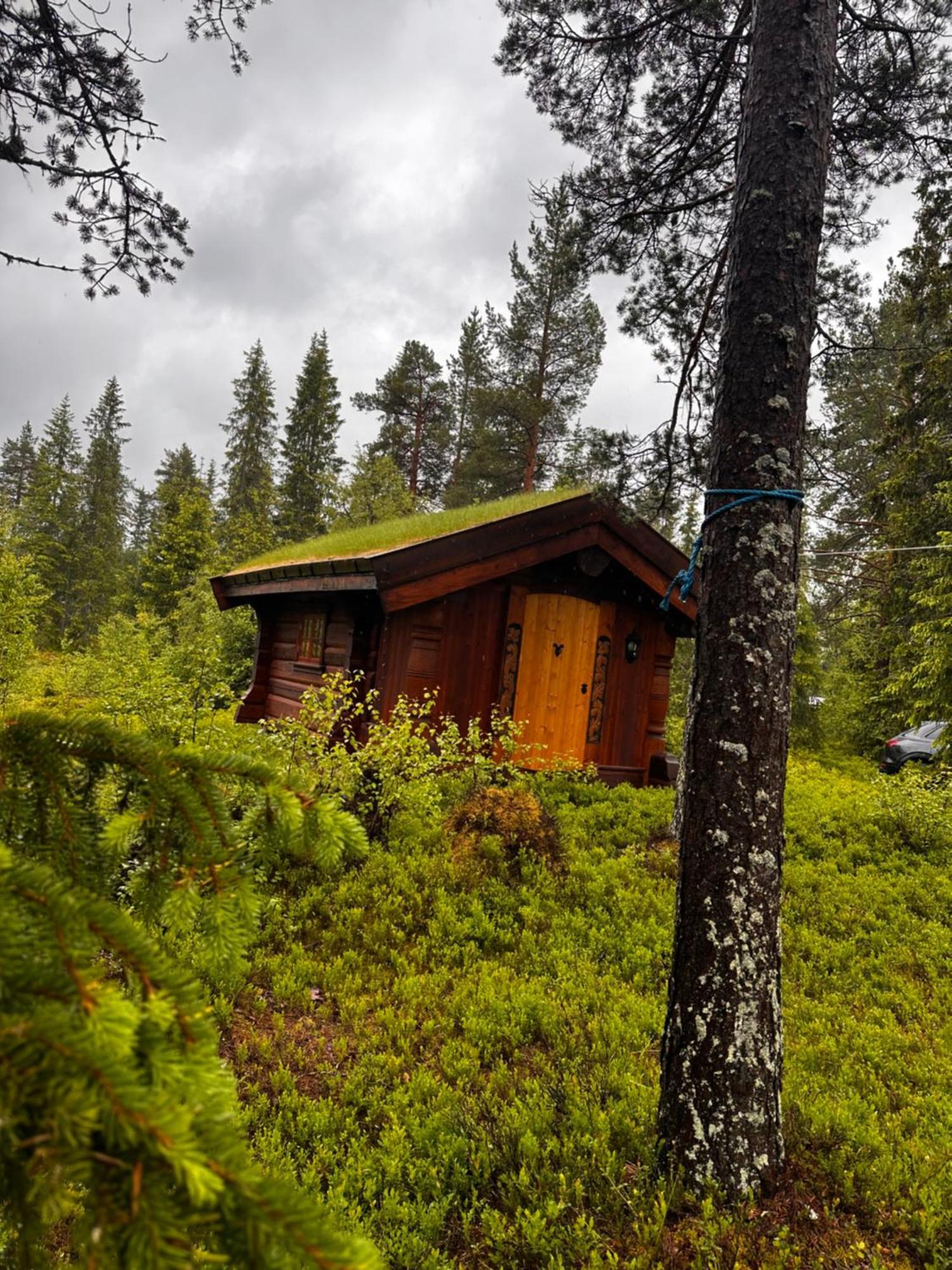 Villa Hytta Pa Oyfjell Exterior foto