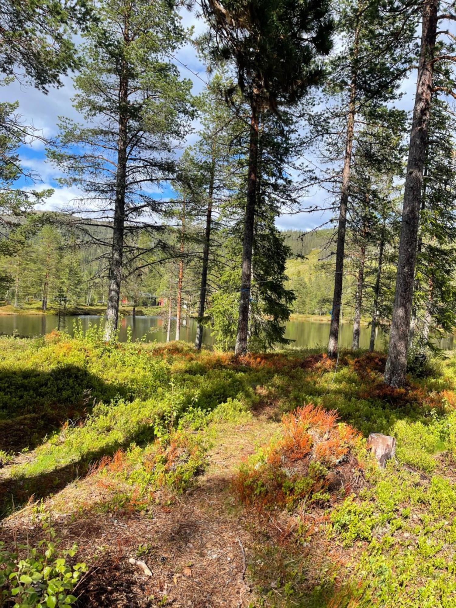 Villa Hytta Pa Oyfjell Exterior foto